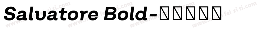 Salvatore Bold字体转换